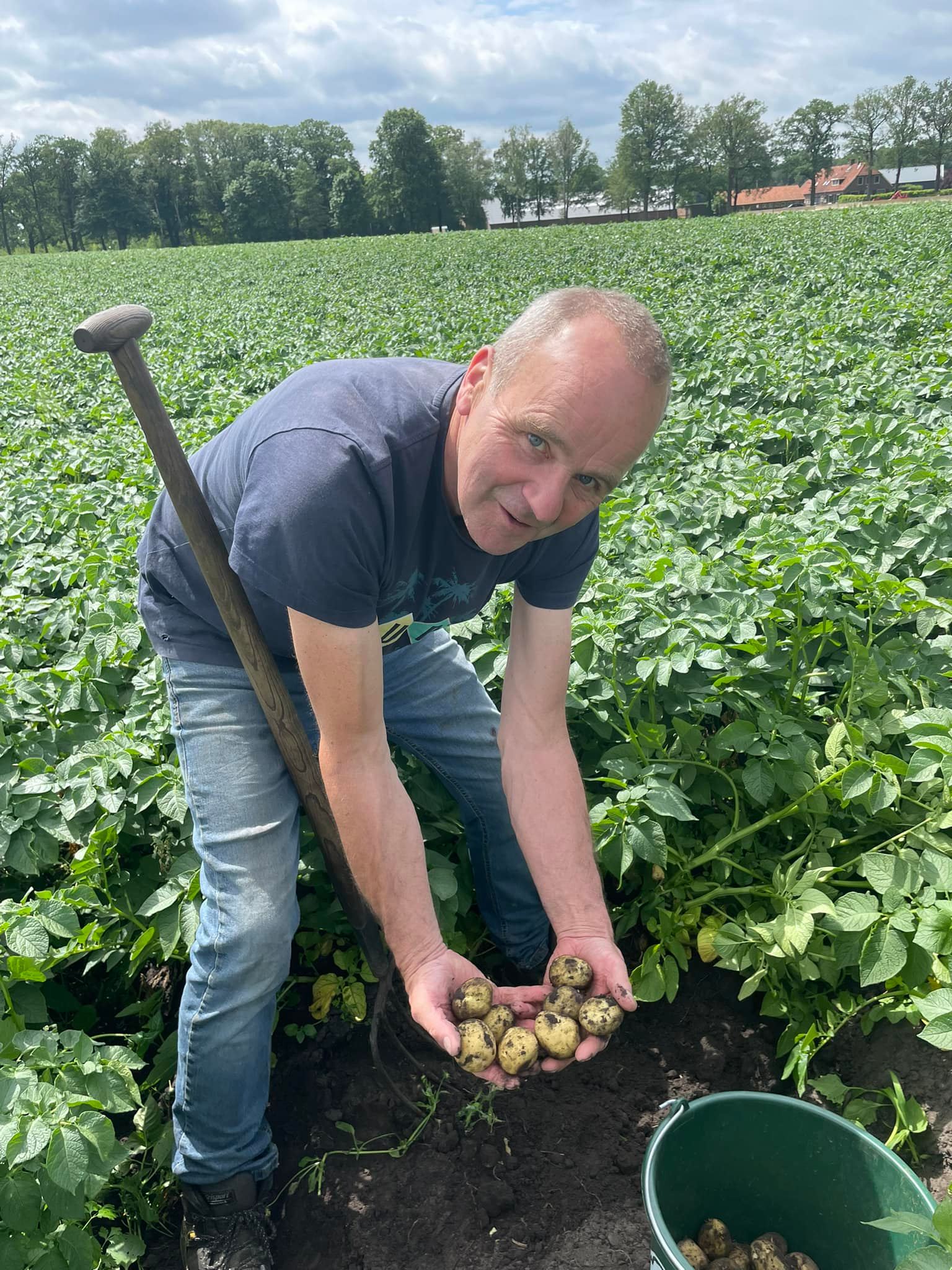 nieuwsbericht met titel Nieuwe aardappelen! Vanaf 13 juni 2022!